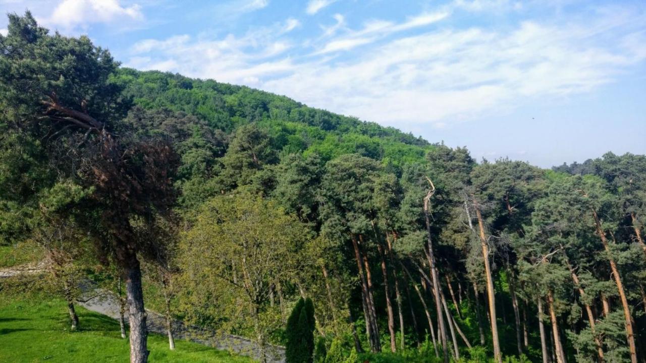 The Pines Boutique Villa براشوف المظهر الخارجي الصورة