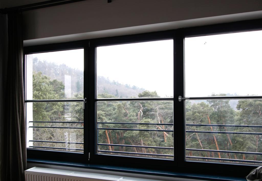 The Pines Boutique Villa براشوف المظهر الخارجي الصورة